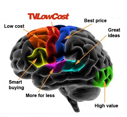 TVLowCost, the brains you need !